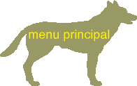 Clique para entrar no menu principal